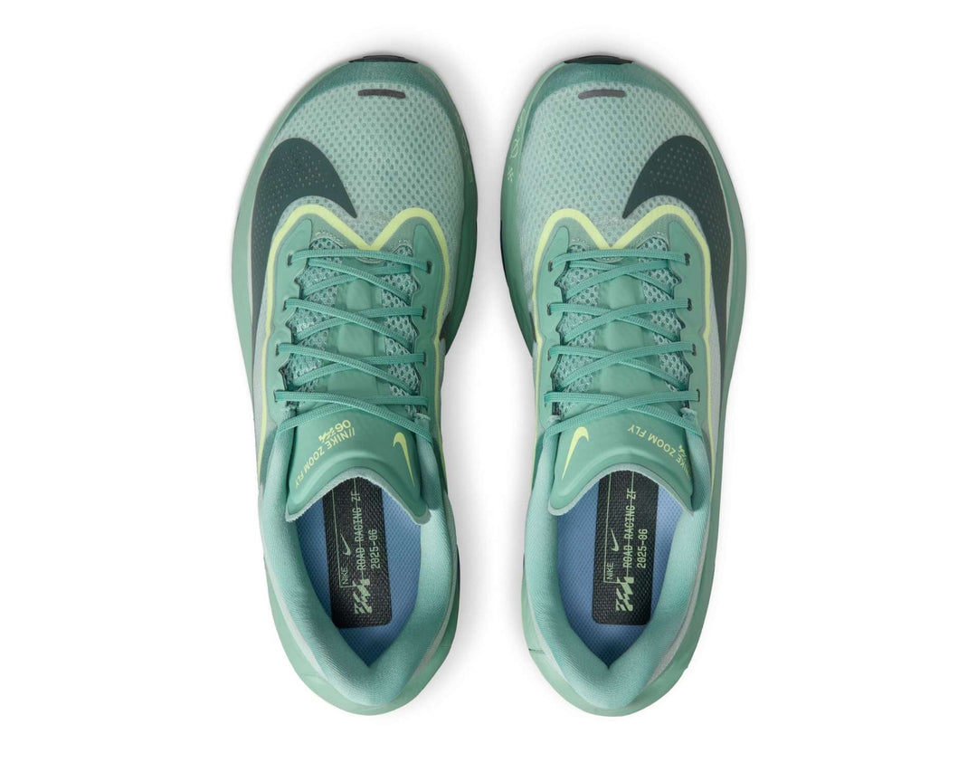 Scarpe da gara da uomo Nike Zoom Fly 6